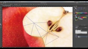 Adobe Illustrator — Практика 2: создание полигональной иллюстрации