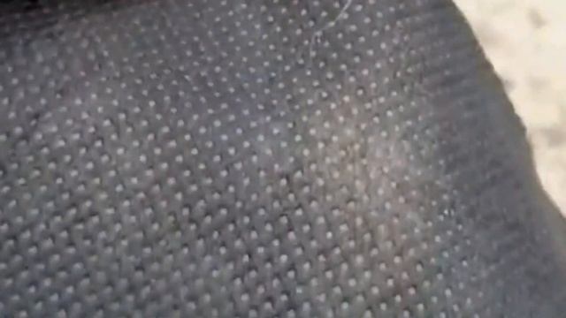 Что выбрать для мульчирования грядок? Проведем опыт и решим, что лучше.