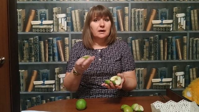 Математика. Урок №2 - Расположение предметов в пространстве смотреть онлайн