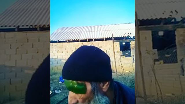 Я добрый дракон