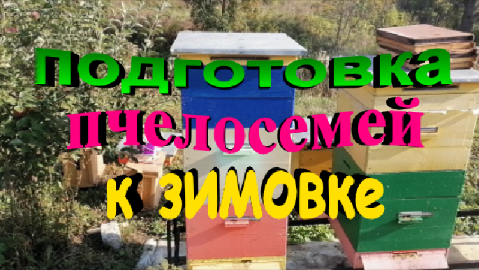 Подготовка пчелосемей к зимовке. Контроль кормов. смотреть онлайн