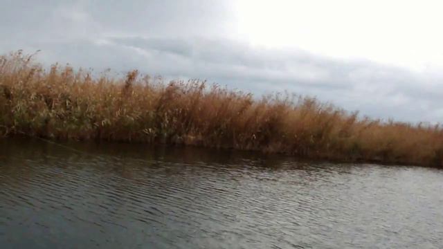 Рыбалка на щуку Октябрь 2013 часть 2. смотреть онлайн