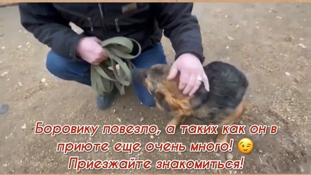 Сегодня очень хотим поделиться с вами, друзья, ещё одной новостью. смотреть онлайн