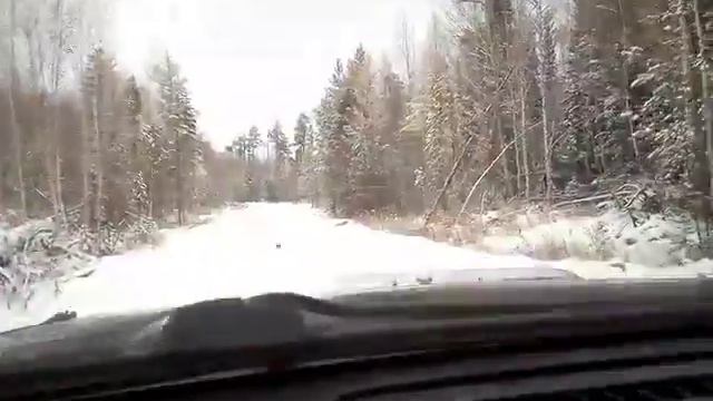 Глухая тайга. Выдрино. смотреть онлайн