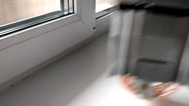 Кулер для процессора AARDWOLF PROXIMA 565 [AP-565-120] - внешний вид смотреть онлайн