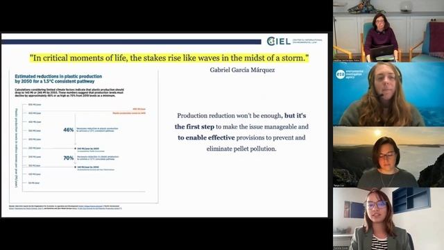 Ending Pellet Pollution with the Global Plastics Treaty: From Zero Draft to Zero Pellet Loss смотреть онлайн