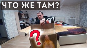 Тяжёлая посылка из Германии. У старого дома новая стена. Зачистка курятника.