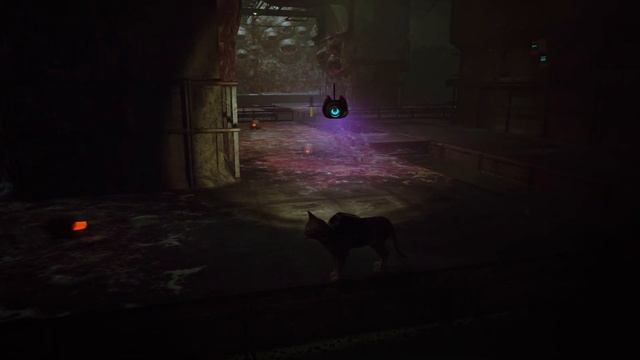 Stray ➤ Прохождение [4K] — Серия 5: Смертельная канализация смотреть онлайн