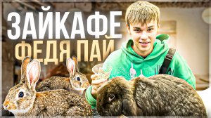 ОБЗОР ЗАЙКАФЕ / СПАСЛИ КРОЛИКА?