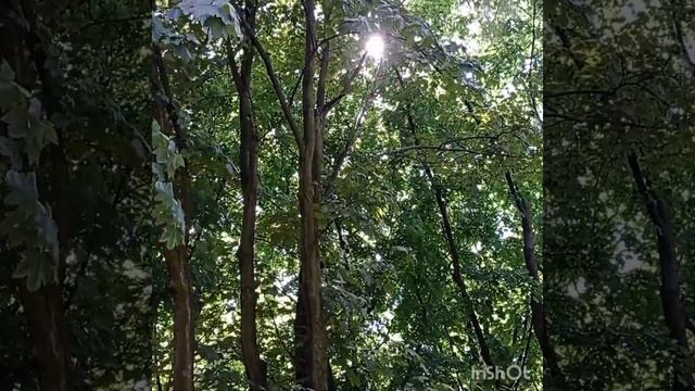 Исцеление душевной боли, переживаний, страха,... смотреть онлайн