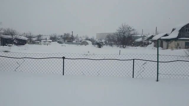 73. Мыши одолели. Теплица на грани разрушения..mp4 смотреть онлайн