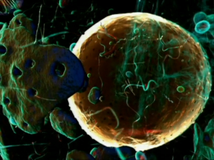 Клетка (Cell) смотреть онлайн