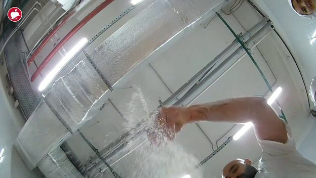 Школа пекарей смотреть онлайн