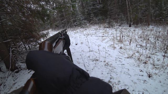 Охота на зайца. Хождение за зайцем по лесу и нос, который лезет в кадр. смотреть онлайн