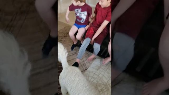 Taking The Boys' Socks Off