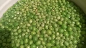 зелёный горошек на зиму. консервируем без стерилизации.