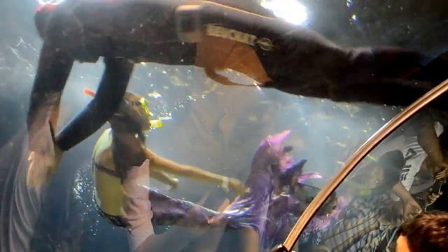 Океанариум в Астане смотреть онлайн