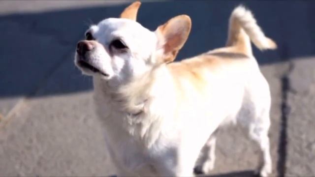 Эта женщина месяц провела в коме. Её слова после пробуждения ошеломили всех вокруг смотреть онлайн