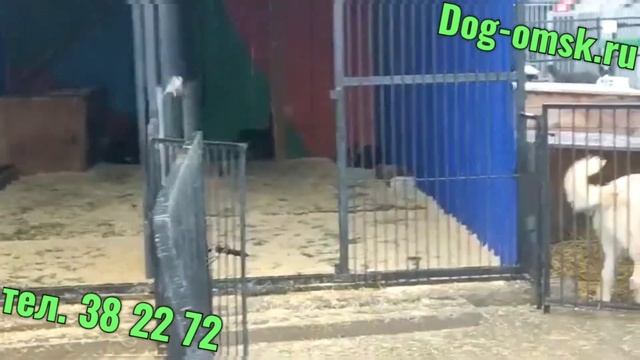 Очень нужны опилки-стружка.