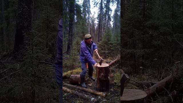 ПИЛЮ ДРОВА ,КОЛЮ ДРОВА ! ЛЕС ОСЕНЬ ! ЗАГОТОВКА ДРОВ ! ИЗБА ! FIREWOOD PREPARATION ! FOREST ! HUT ! смотреть онлайн