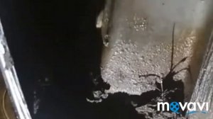 Хендай элантра снимаем передние подкрылки