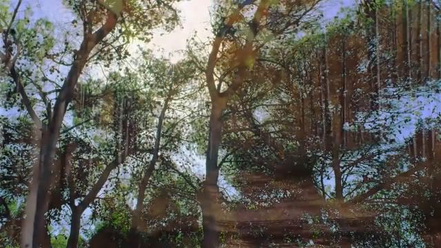 Пищевые отравления у детей — Статья смотреть онлайн