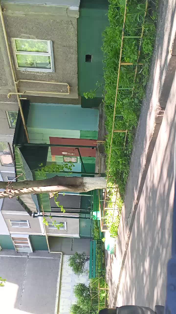 0805.2 смотреть онлайн