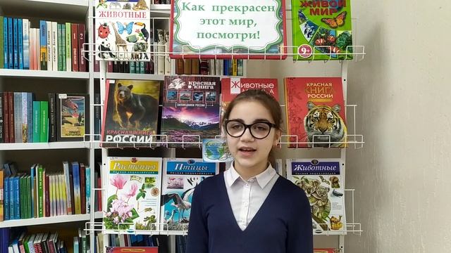 Шевелева Елизавета читает стихотворение Владимира Орлова «Дом под крышей голубой» смотреть онлайн