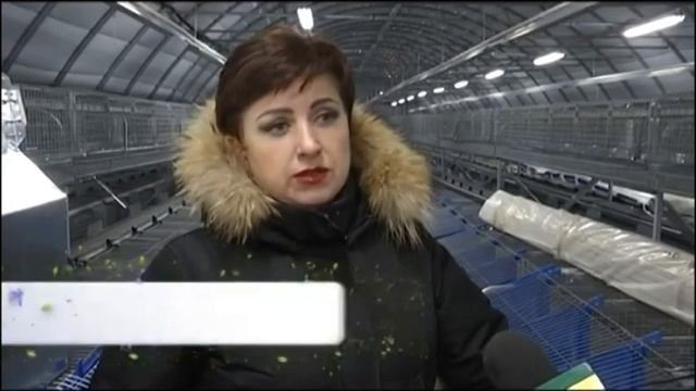 Кроликоферма Лилии Цыганок смотреть онлайн