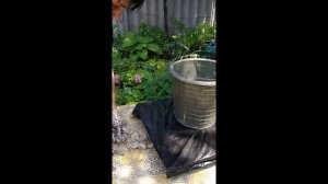 Декоративный горшок-пенёк из яичных лотков и цемента | DIY Cement Pots Shaped Like A Tree Stump