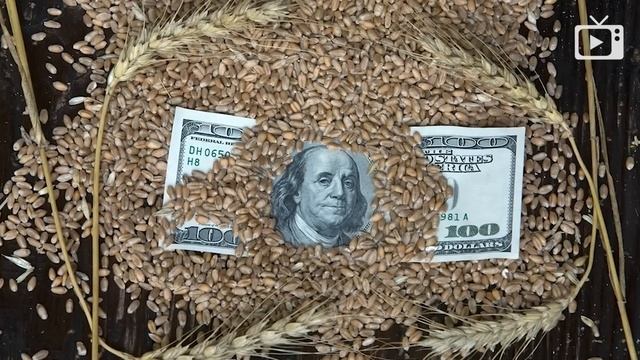 Единогласно приняли, Военный налог, Нашествие сурков __ Галопом по Европам #929 смотреть онлайн