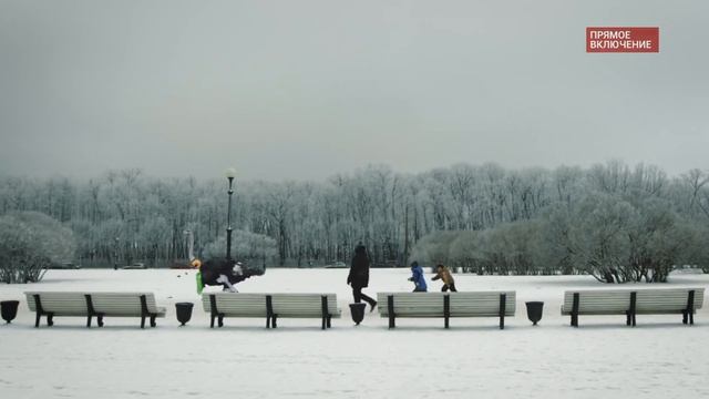 Страус в Большом городе смотреть онлайн