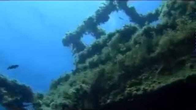 Greece Dive PADI Resort смотреть онлайн