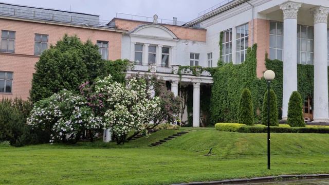 Чёрные лебеди 2