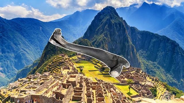 All About Snake Stones | Cobra Pearl, Nagamani & more! смотреть онлайн