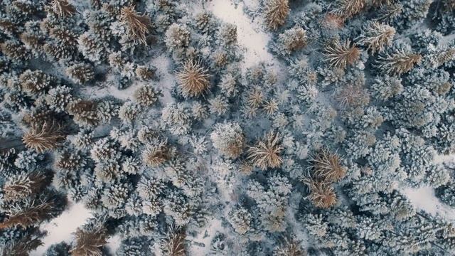 #2 - Winter Fairytale - Borovets, Bulgaria | Зимна приказка в Боровец смотреть онлайн
