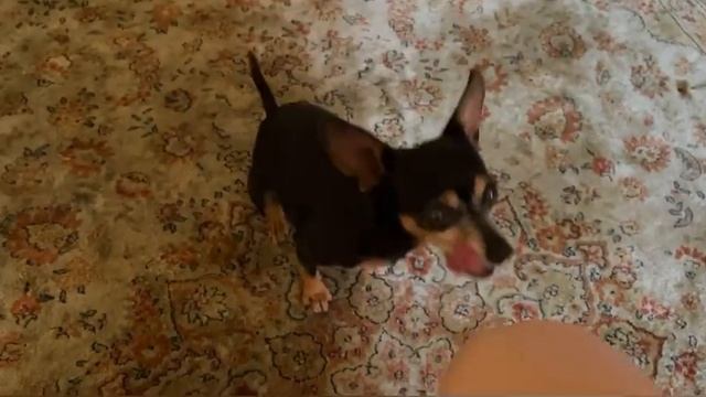 VLOG / МОИ БУДНИ / РАСПАКОВКА / НОВЫЙ МАНИКЮР / ОБРАЗ НА ДЕНЬ РОЖДЕНИЕ / РУМ ТУР