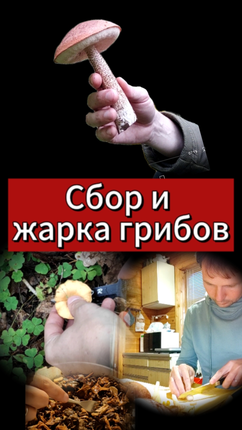 Сбор и жарка грибов