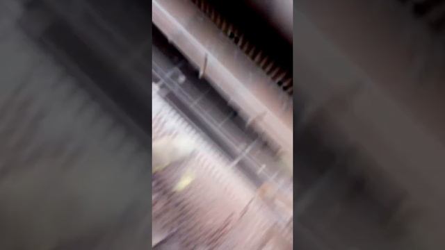 СТРАХОВКА БУДЕТ ПОСЛЕ ОБЕДА Часть 1 смотреть онлайн