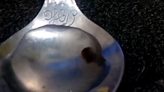 !!! Рапаны в аквариуме, родились из ракушек!!! смотреть онлайн