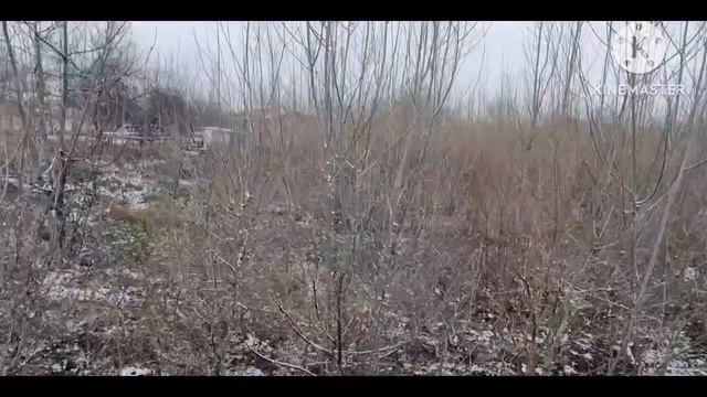 ШОШИЛИНЧ: КОР БУРОН КУЧЛИ СОВУК 1-2-3-МАРТ ОГОХ БУЛИНГ -15° СОВУК смотреть онлайн