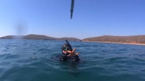 Подводная охота Японское море апрель 2022 в HD 60fps