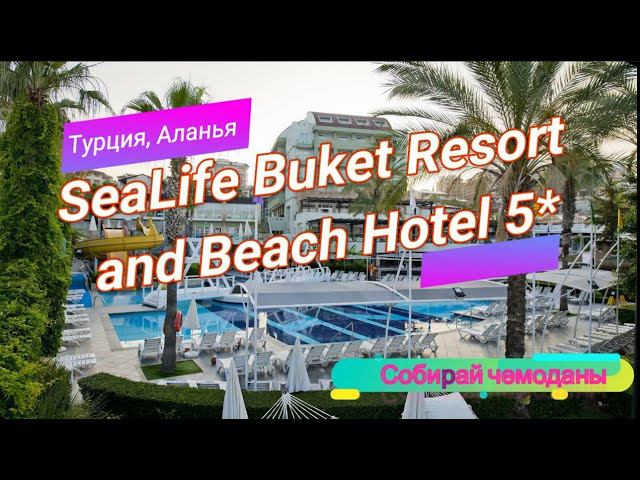 Отзыв об отеле SeaLife Buket Resort and Beach Hotel 5* (Турция, Аланья) смотреть онлайн
