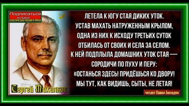 Тихий водоём ,Басня Сергея Михалкова, читает Павел Беседин смотреть онлайн
