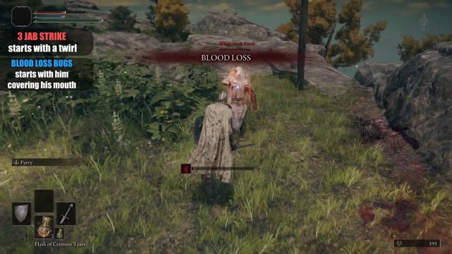 Did you know you could FIGHT this person in LIMGRAVE ? - Elden Ring смотреть онлайн