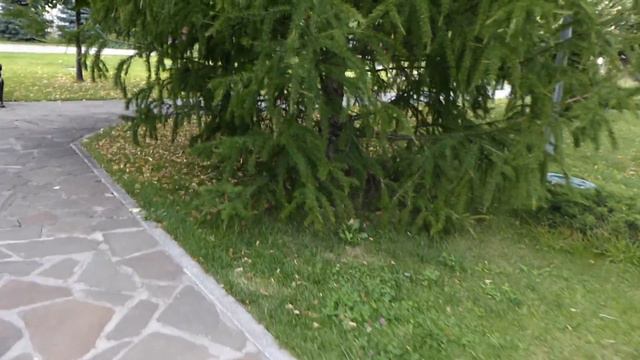 время гортензии. марфо-мариинская обитель. 3 августа 2015 P1010184 смотреть онлайн