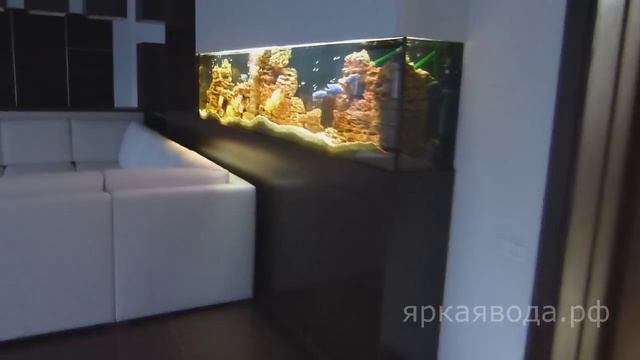 Большой трехметровый аквариум. Изготовление аквариумов в Красноярске. смотреть онлайн