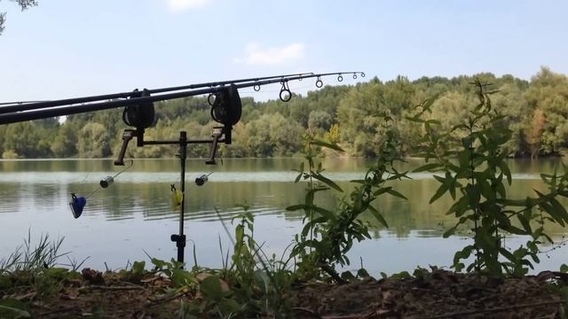 CC moore pacific tuna test смотреть онлайн