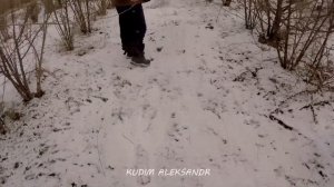 ТЕСТ ПРОХОД ПО МЕСТАМ ЗВЕРИНЫХ ТРОП