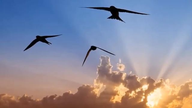 Елена Фролова «Волны зари». Слова Андрея Белого. (Видеоклип Т. Комраковой) смотреть онлайн